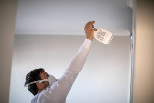 Best Insurance-Related Mold Remediation in New Athens, IL