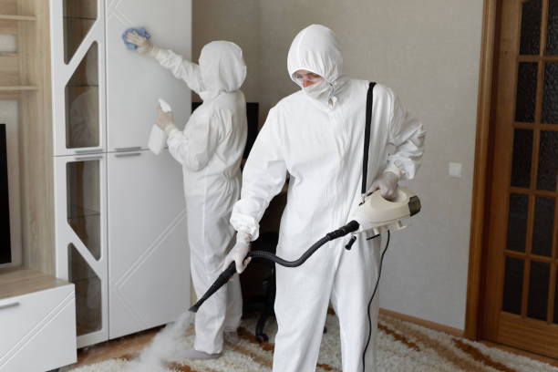 Best Health and Safety Mold Remediation in New Athens, IL
