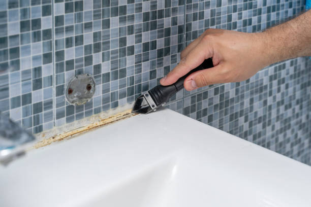 Best Kitchen Mold Remediation in New Athens, IL